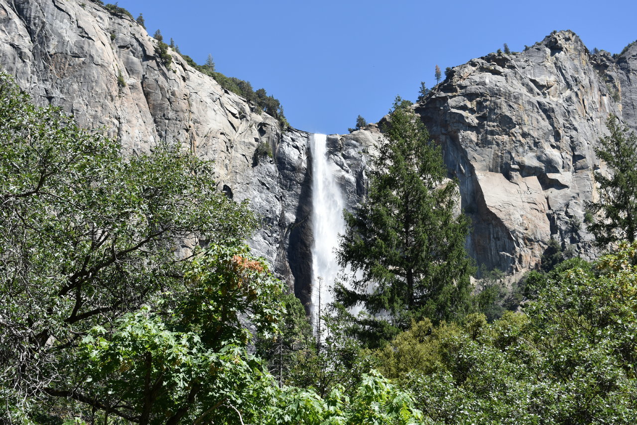 DSC_0059.jpg