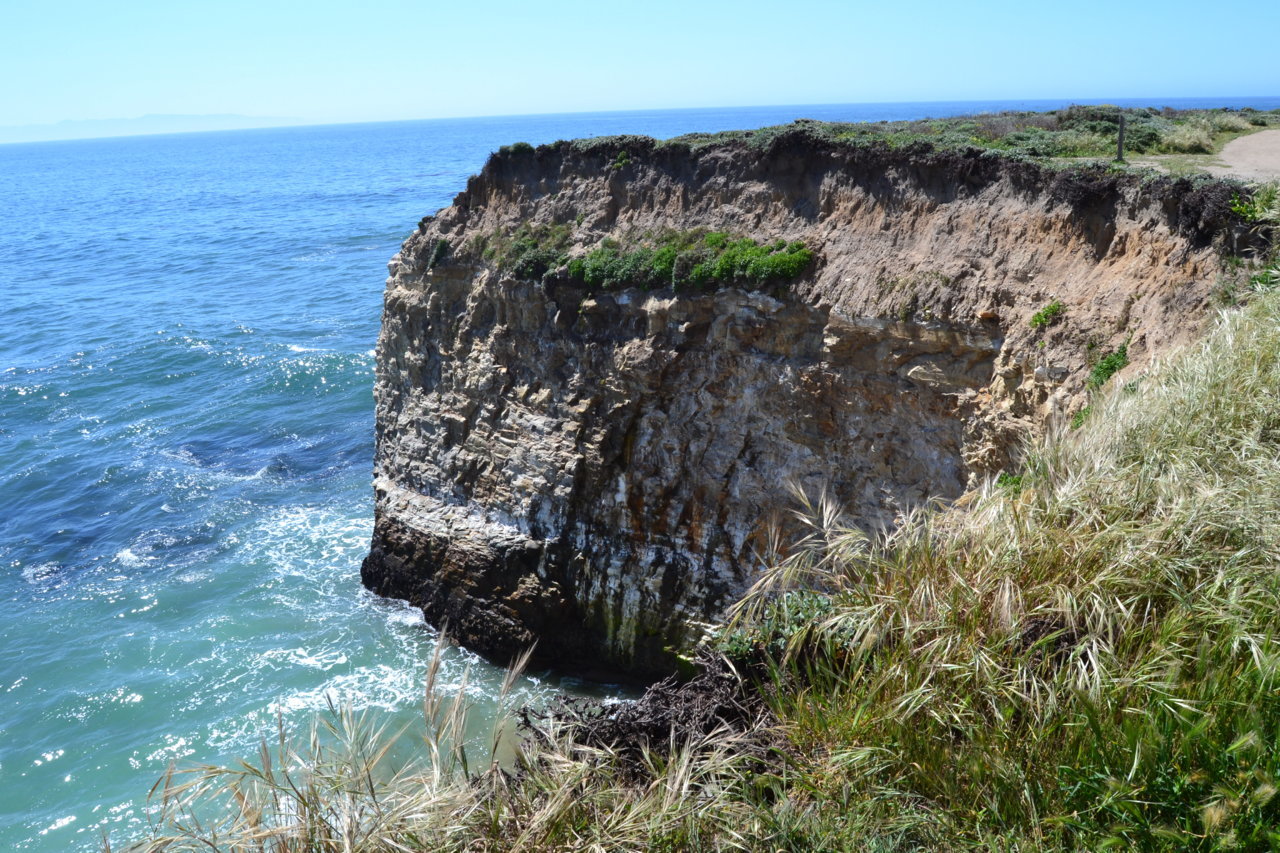 DSC_0059.jpg