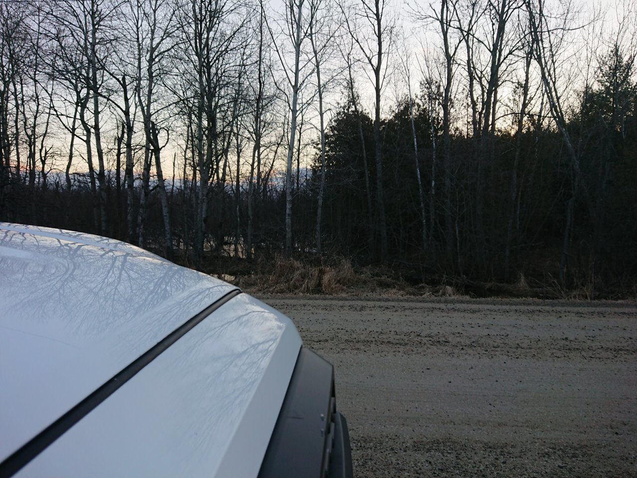 DSC_0060.jpg