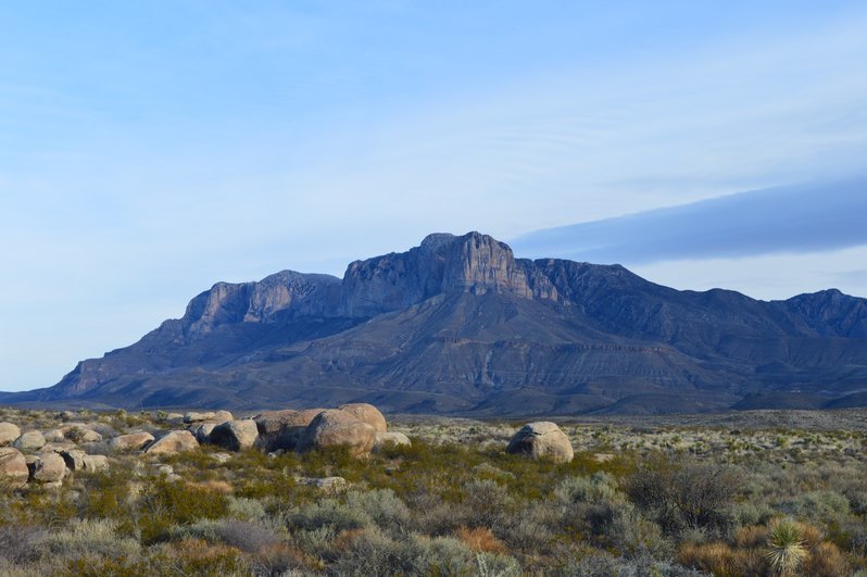 DSC_0061.jpg