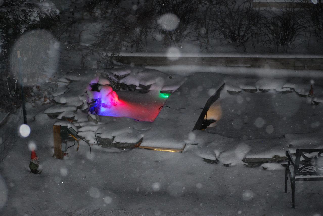 DSC_0061.jpg