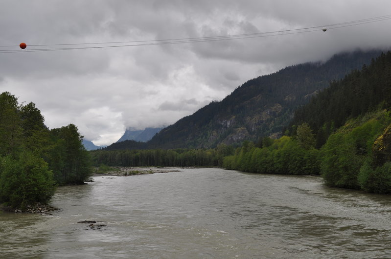 DSC_0061.jpg