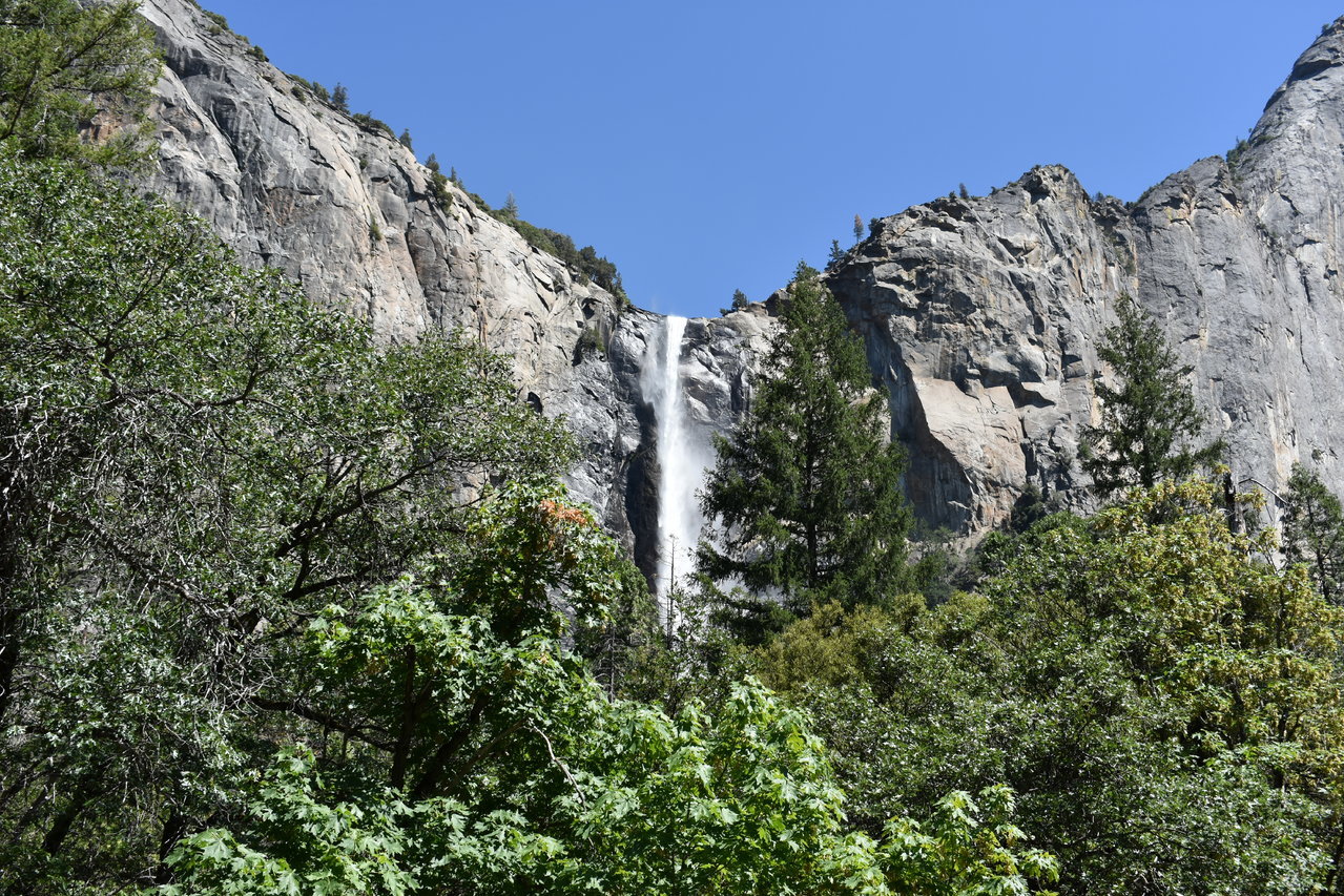 DSC_0063.jpg