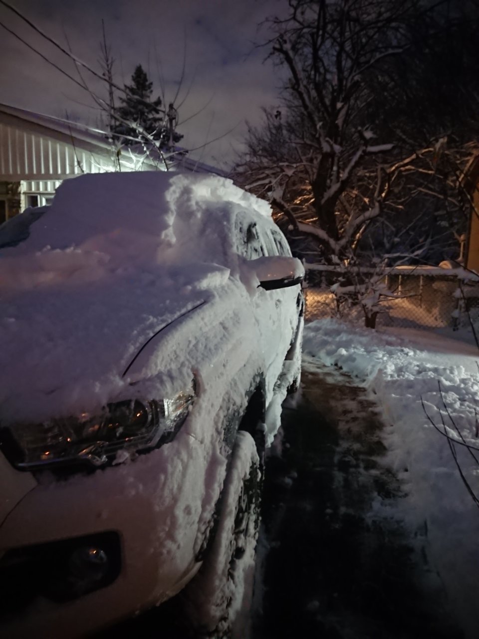 DSC_0063.jpg
