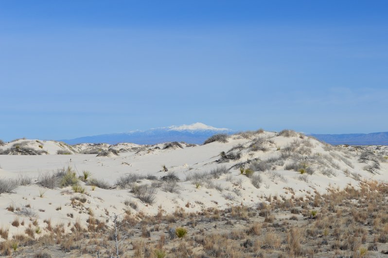 DSC_0064.jpg