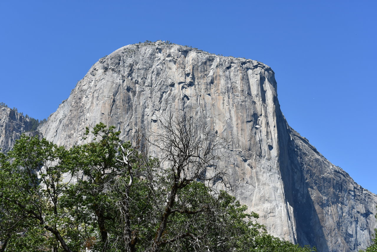 DSC_0064.jpg