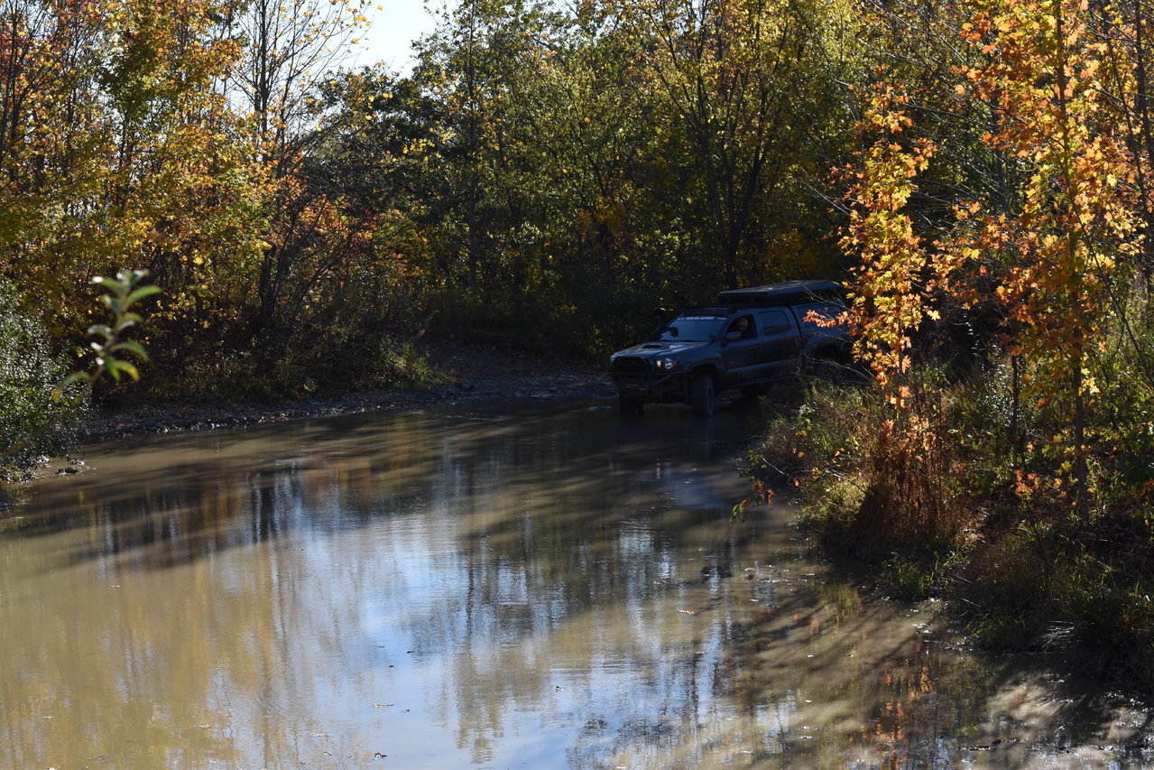 DSC_0064.jpg