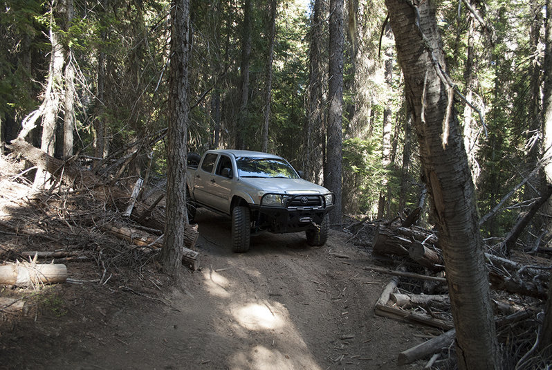 DSC_0065.jpg