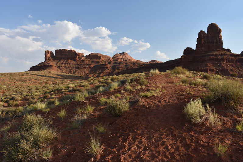 DSC_0065.jpg
