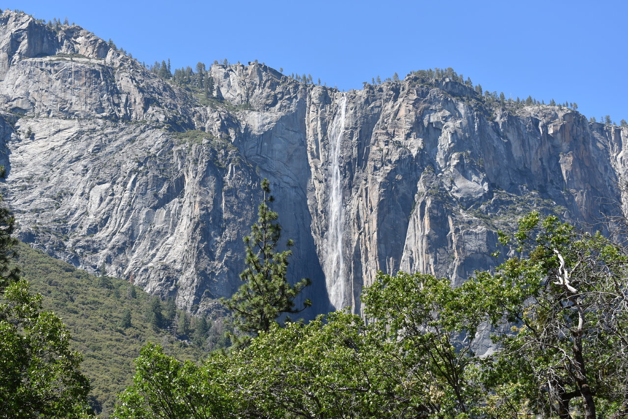 DSC_0065.jpg