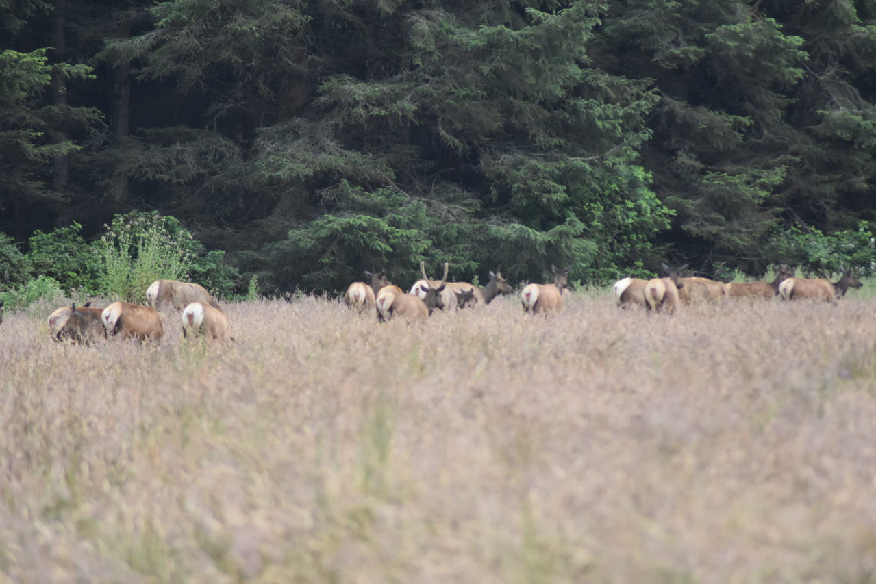DSC_0066.jpg