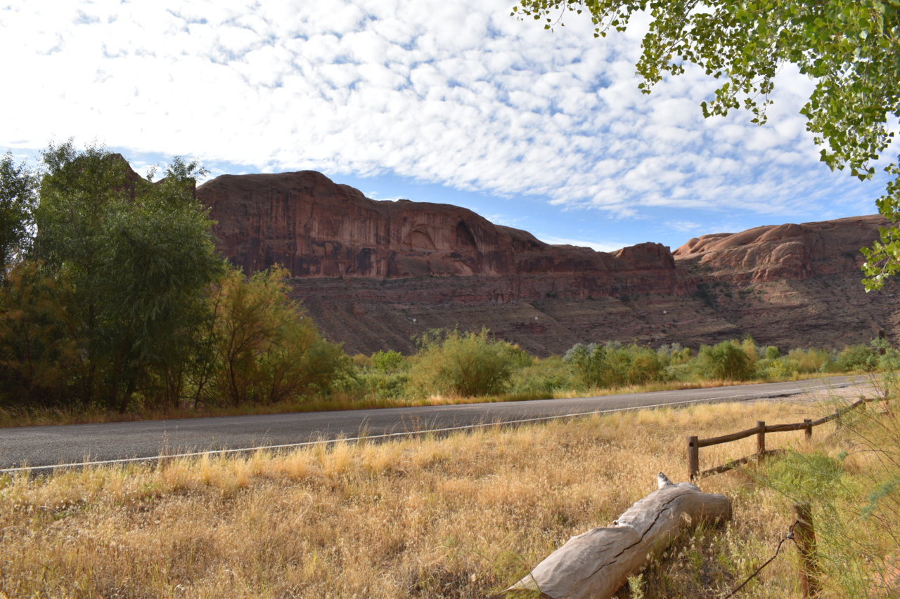 DSC_0066.jpg
