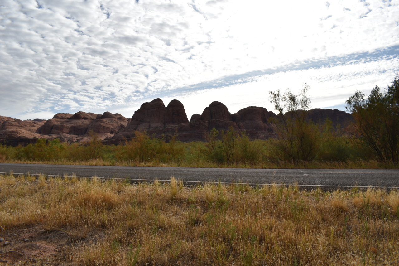 DSC_0067.jpg