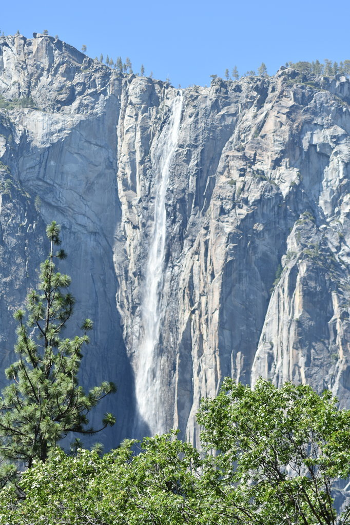 DSC_0068.jpg