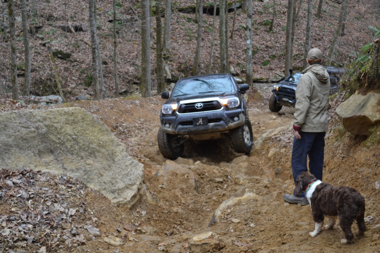 DSC_0068.jpg