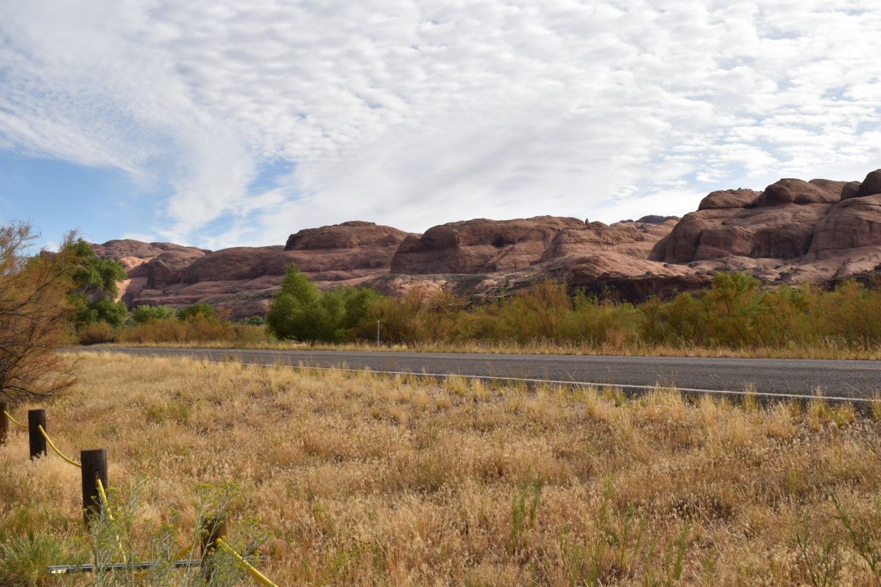 DSC_0068.jpg