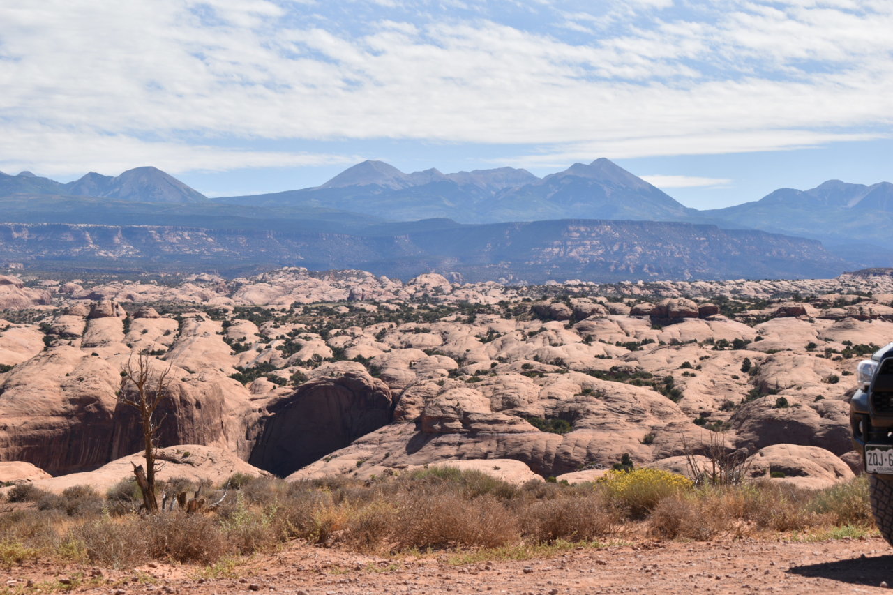 DSC_0071.jpg
