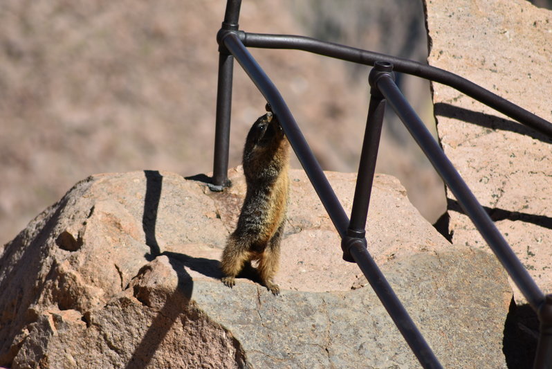 DSC_0072.jpg