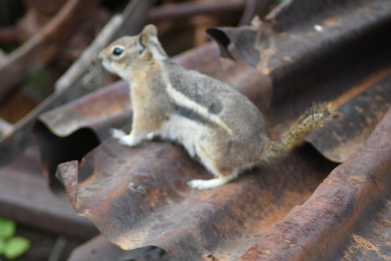 DSC_0072.jpg
