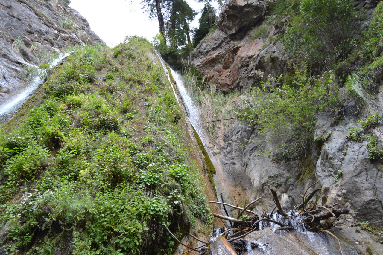 DSC_0073.jpg