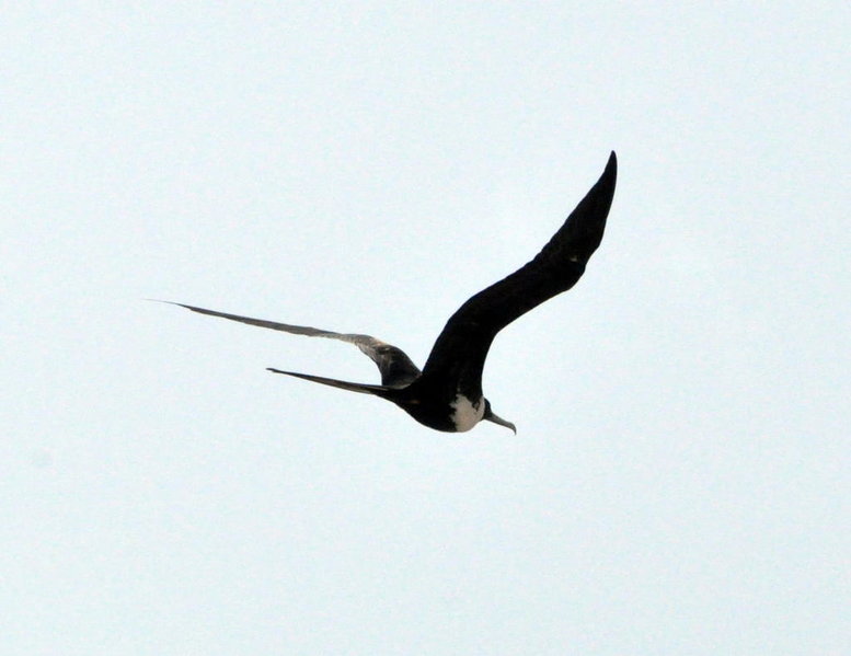 DSC_0074.jpg