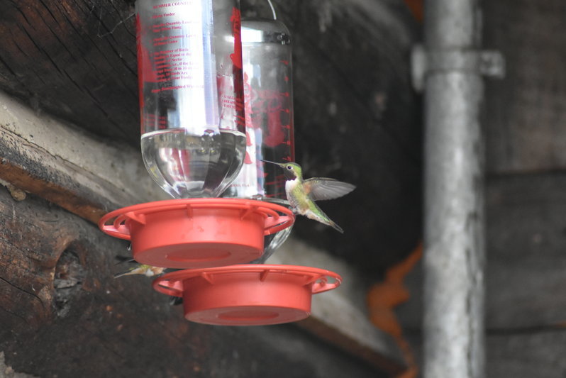 DSC_0075.jpg