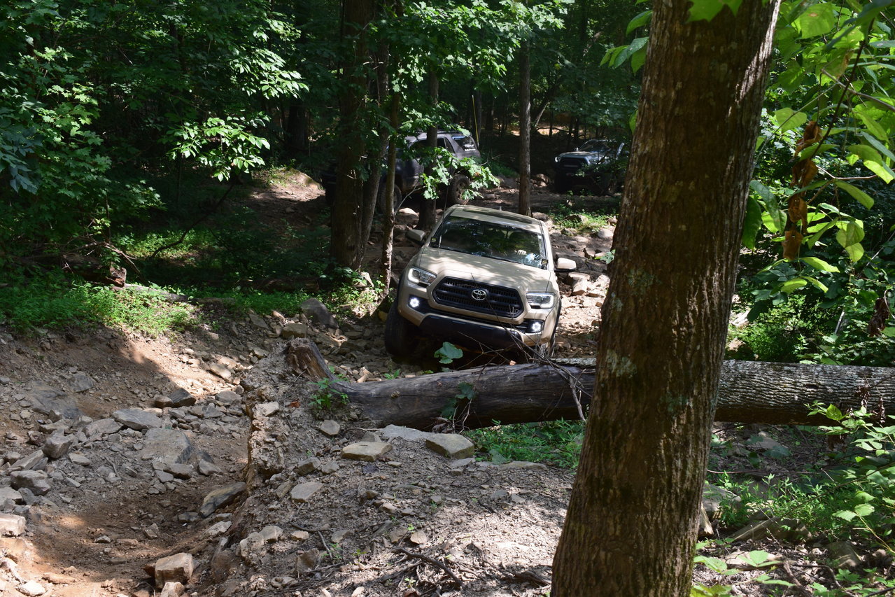 DSC_0075.jpg