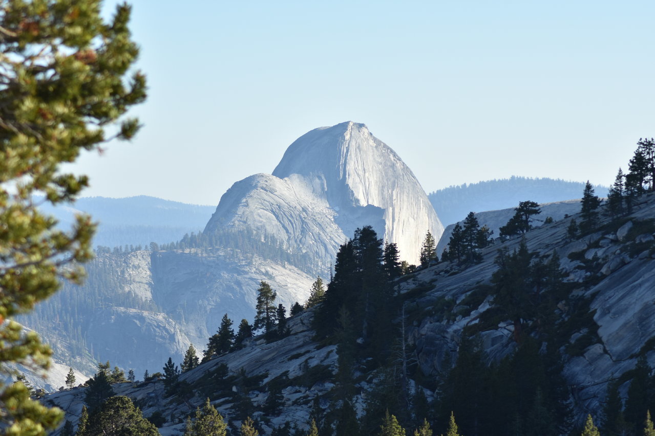 DSC_0076.jpg