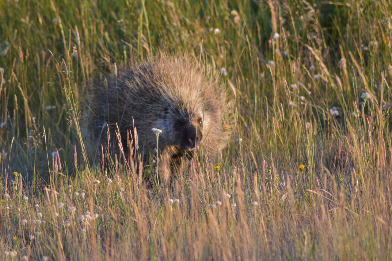 DSC_0077.jpg
