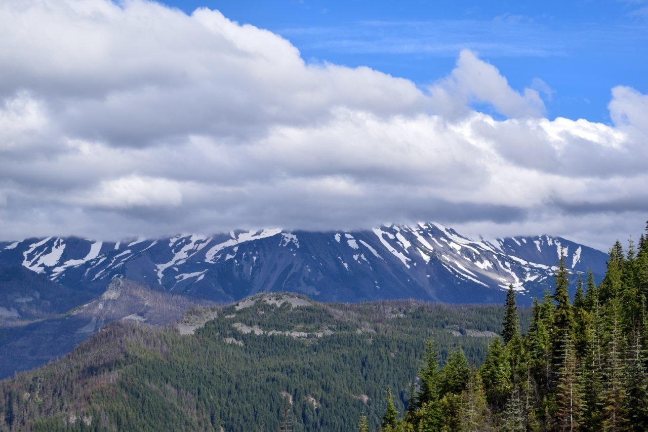 DSC_0077.jpg