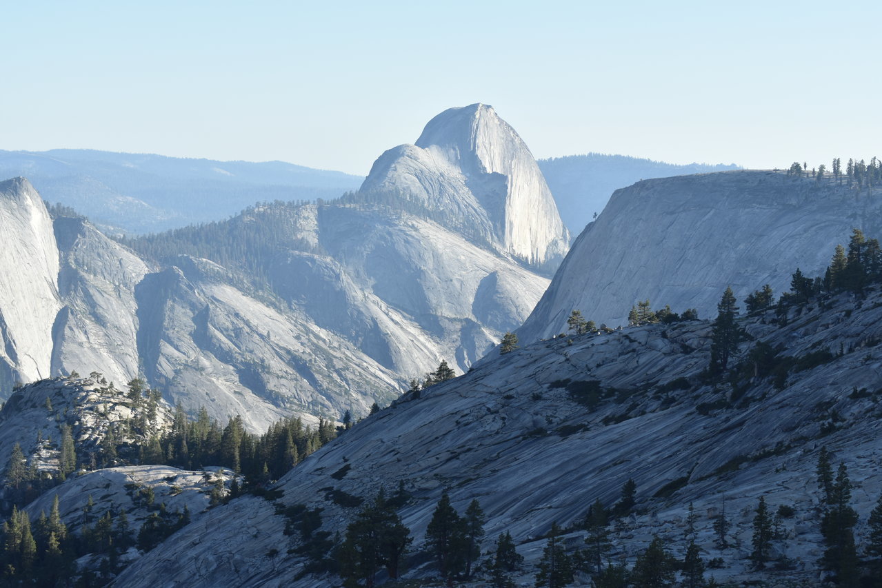 DSC_0078.jpg