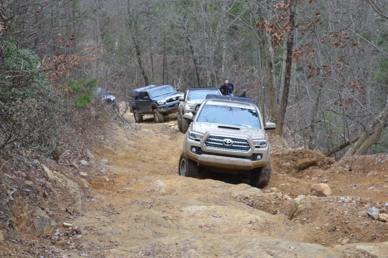 DSC_0078.jpg