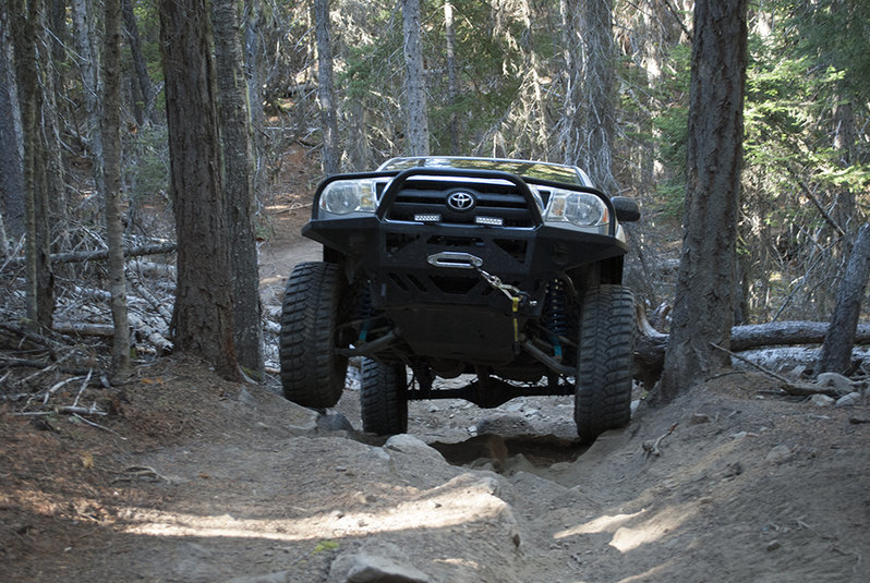 DSC_0079.jpg