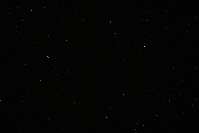 DSC_0079.jpg