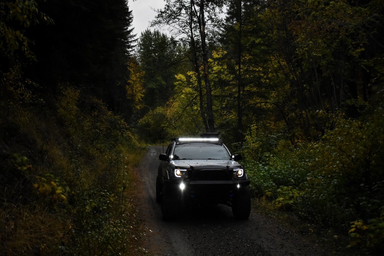 DSC_0079.jpg