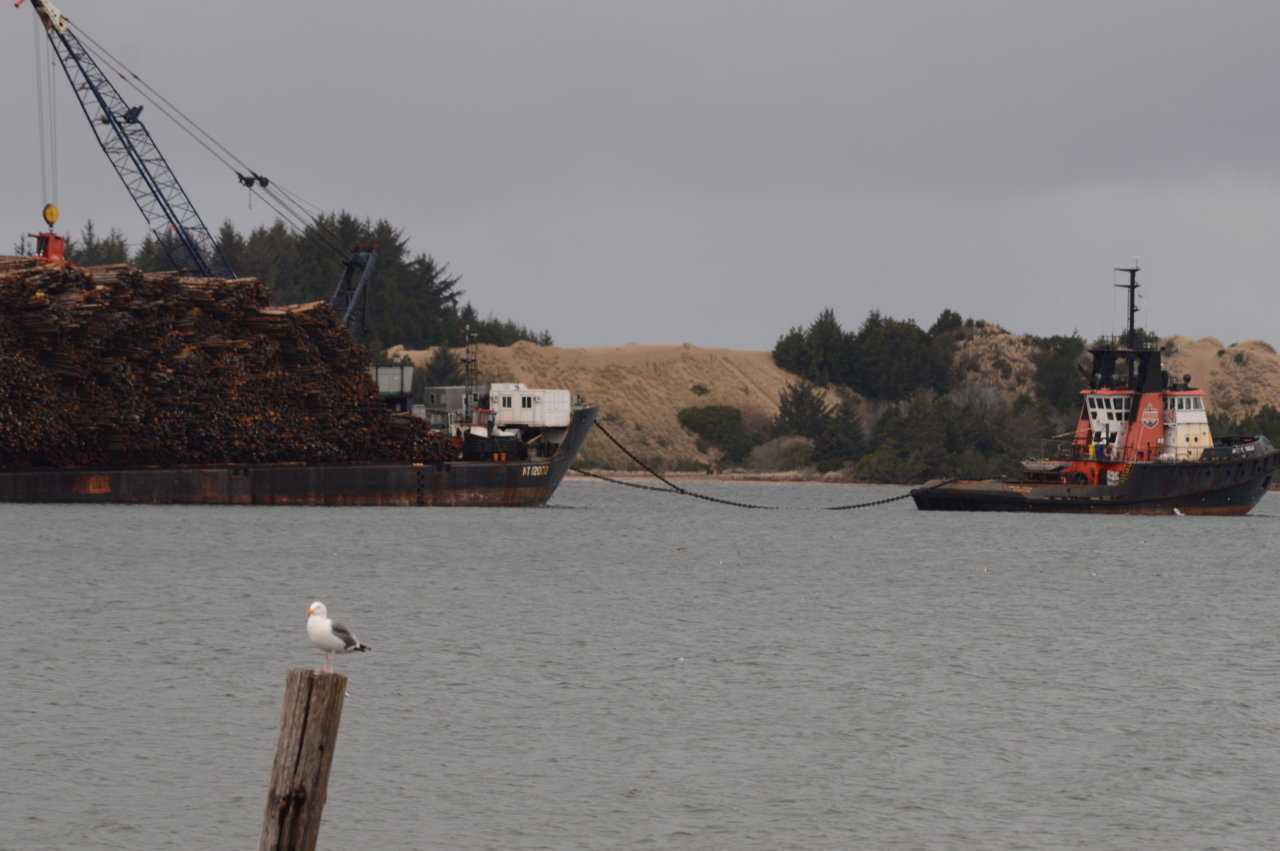 DSC_0079.jpg