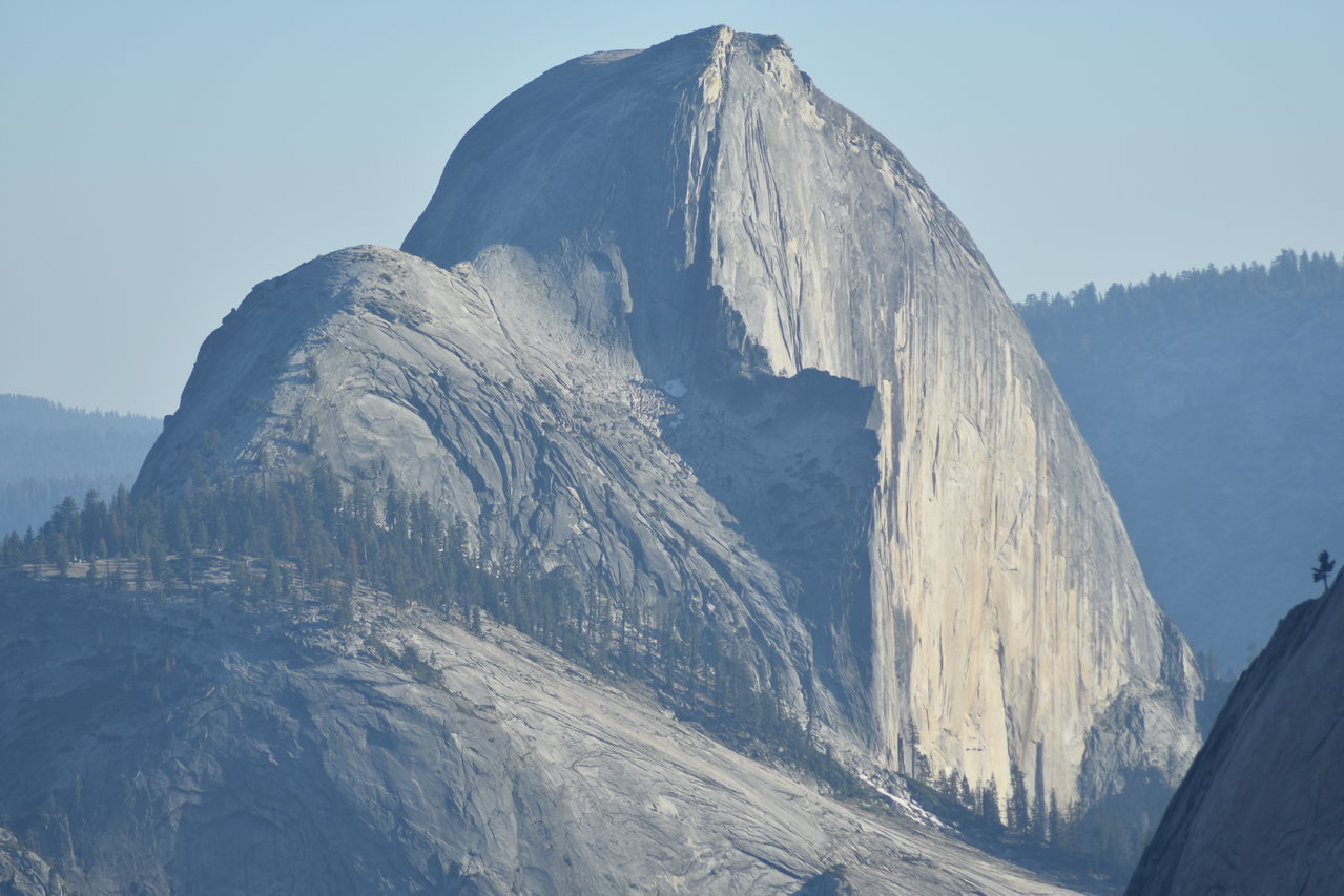 DSC_0081.jpg