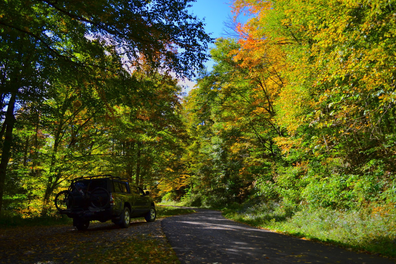 DSC_0081.jpg