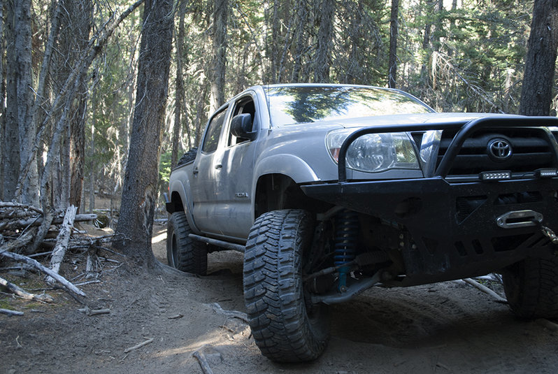 DSC_0082.jpg