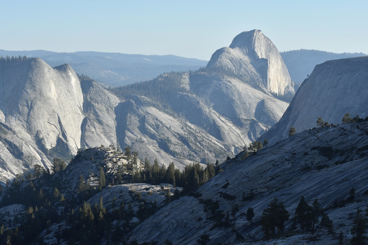 DSC_0082.jpg