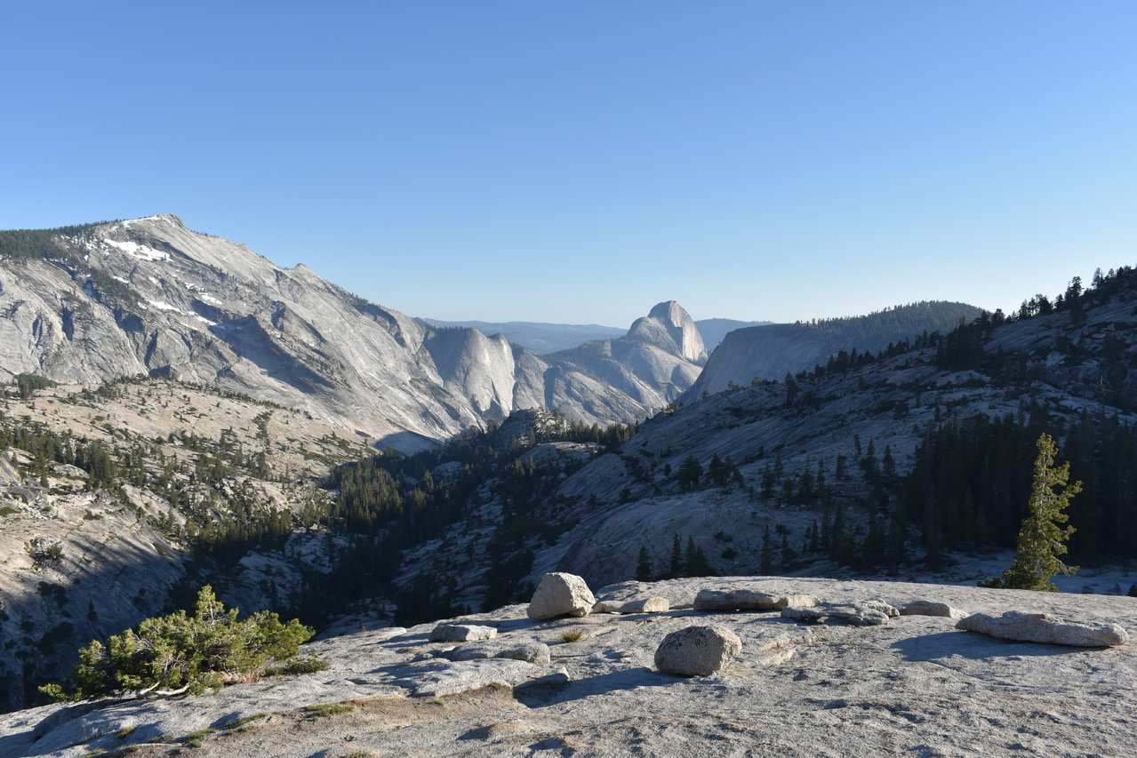 DSC_0083.jpg