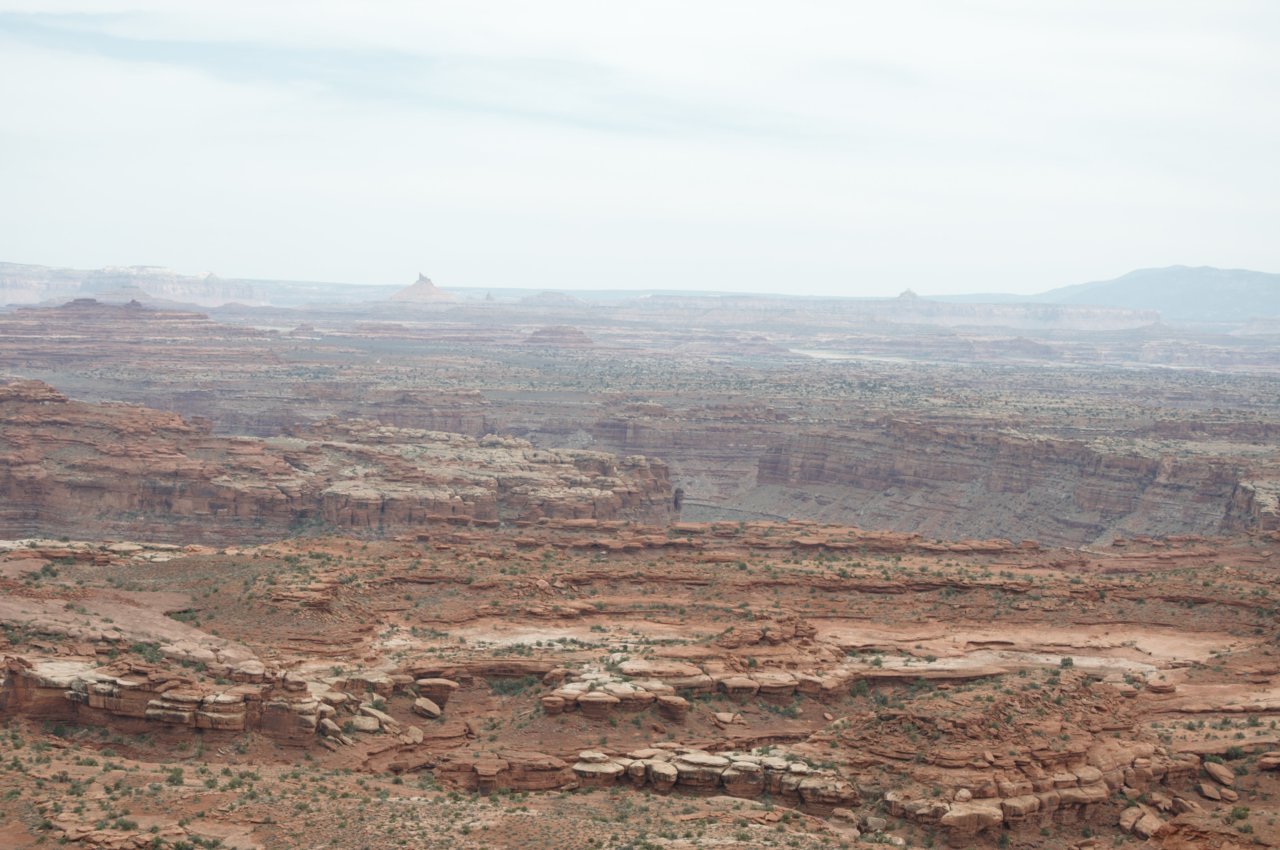 DSC_0083.jpg