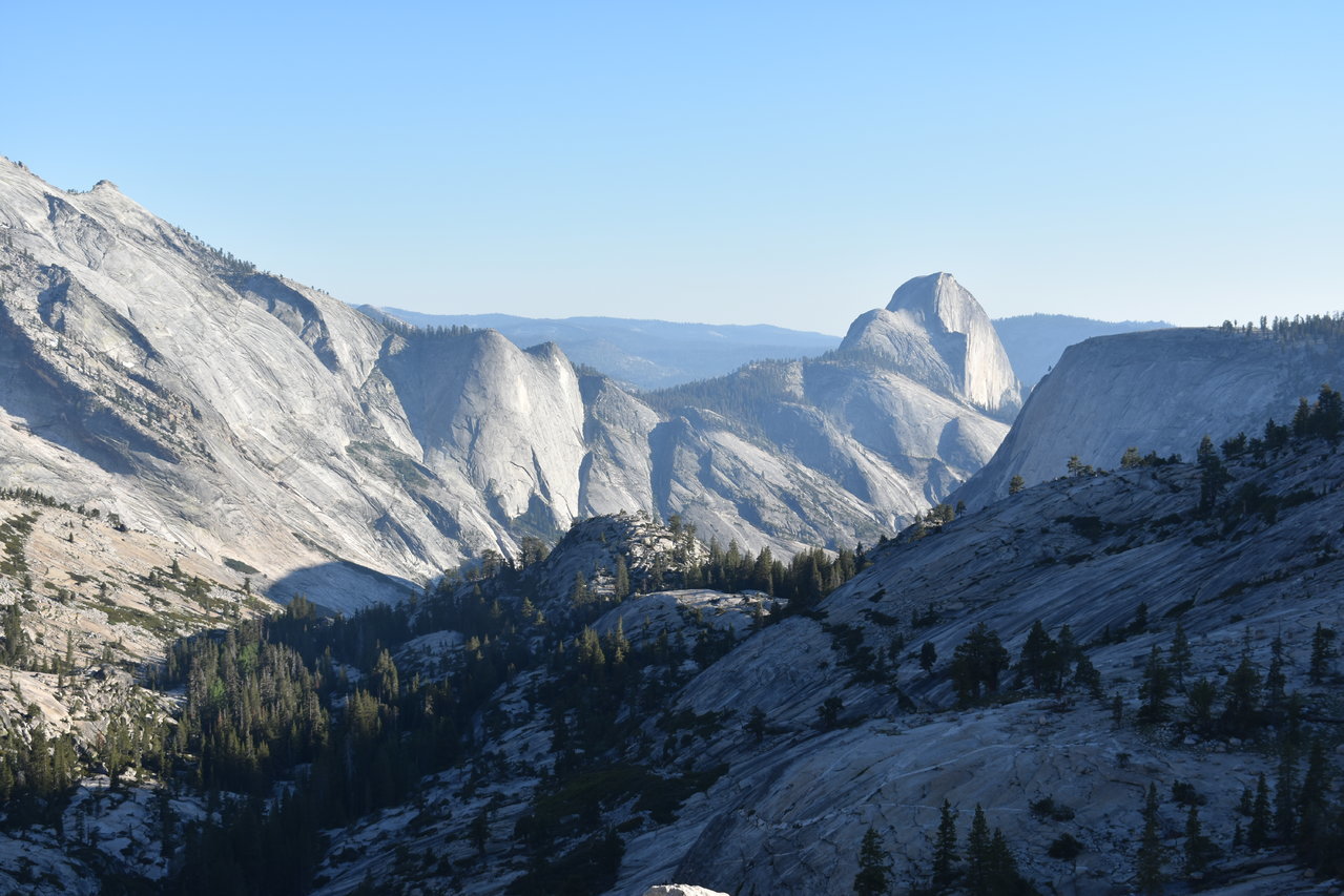 DSC_0084.jpg