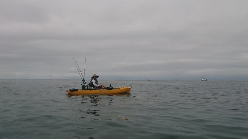 DSC_0085.jpg