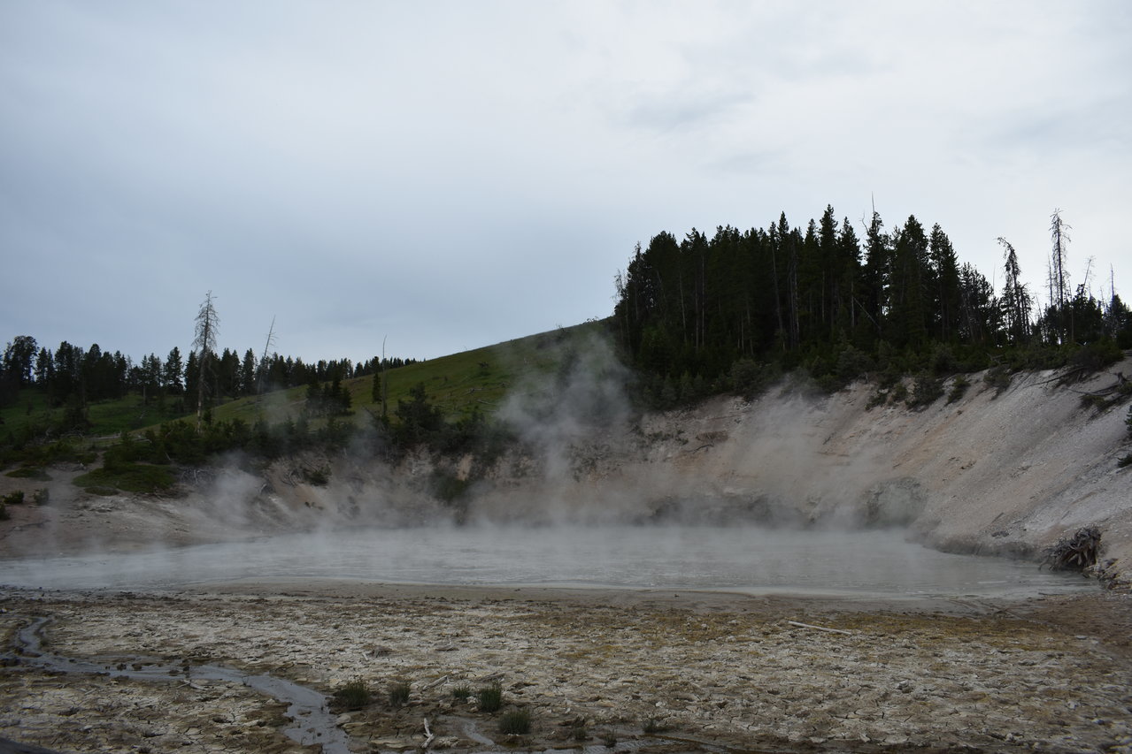 DSC_0086.jpg