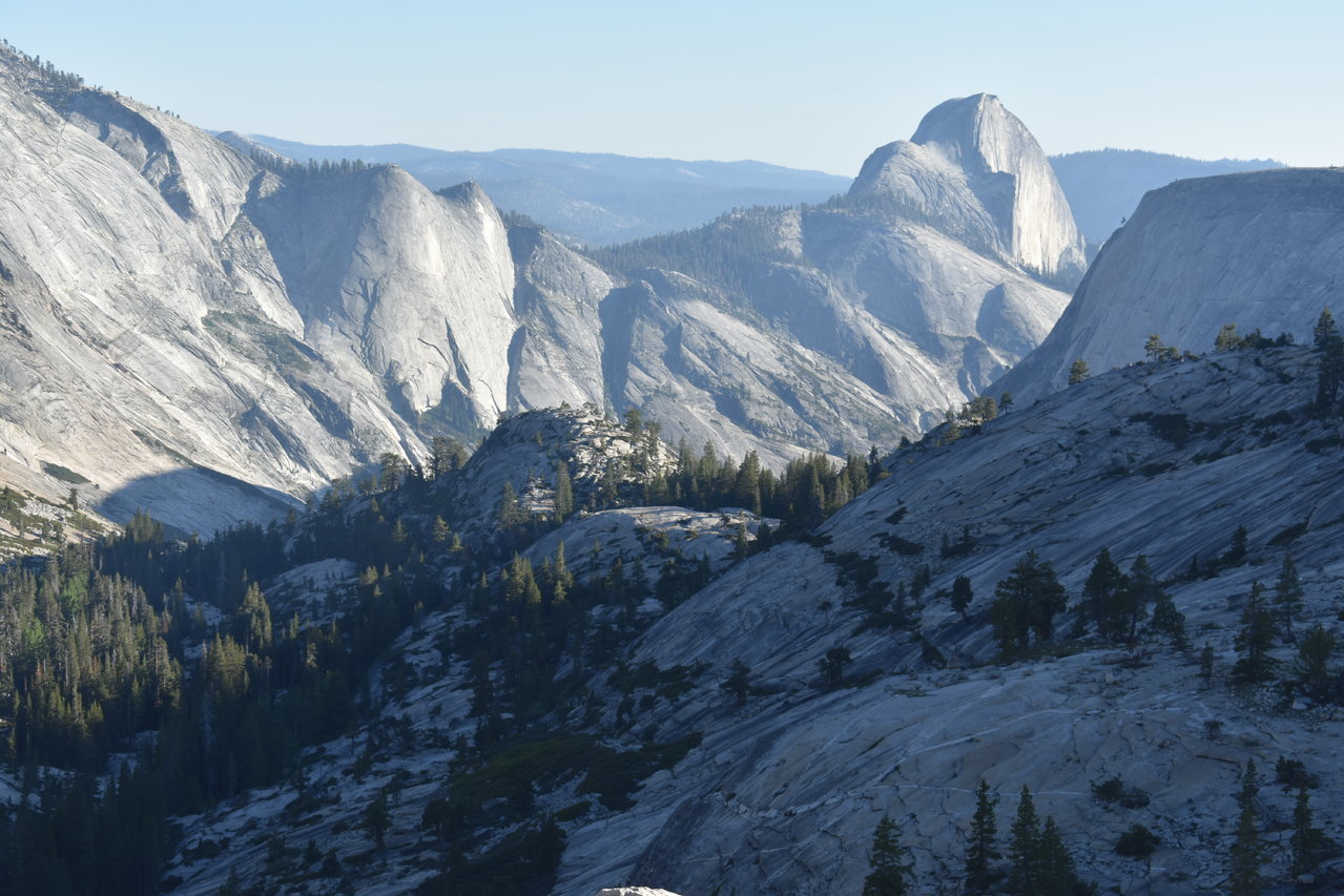 DSC_0087.jpg