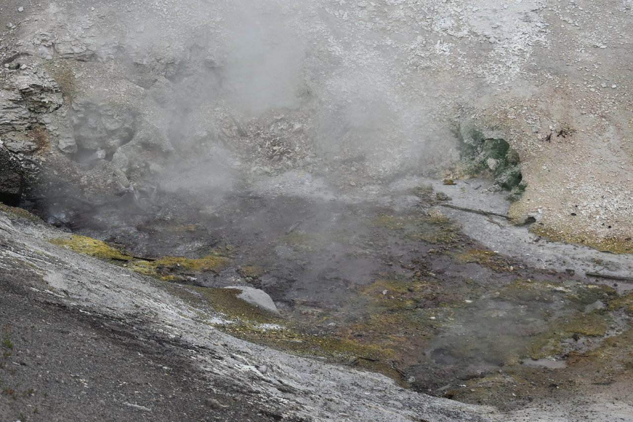 DSC_0087.jpg
