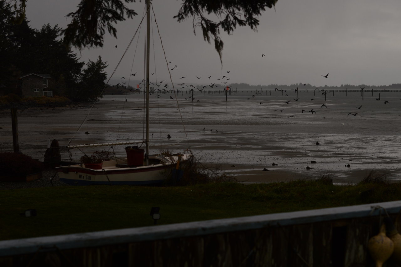 DSC_0087.jpg
