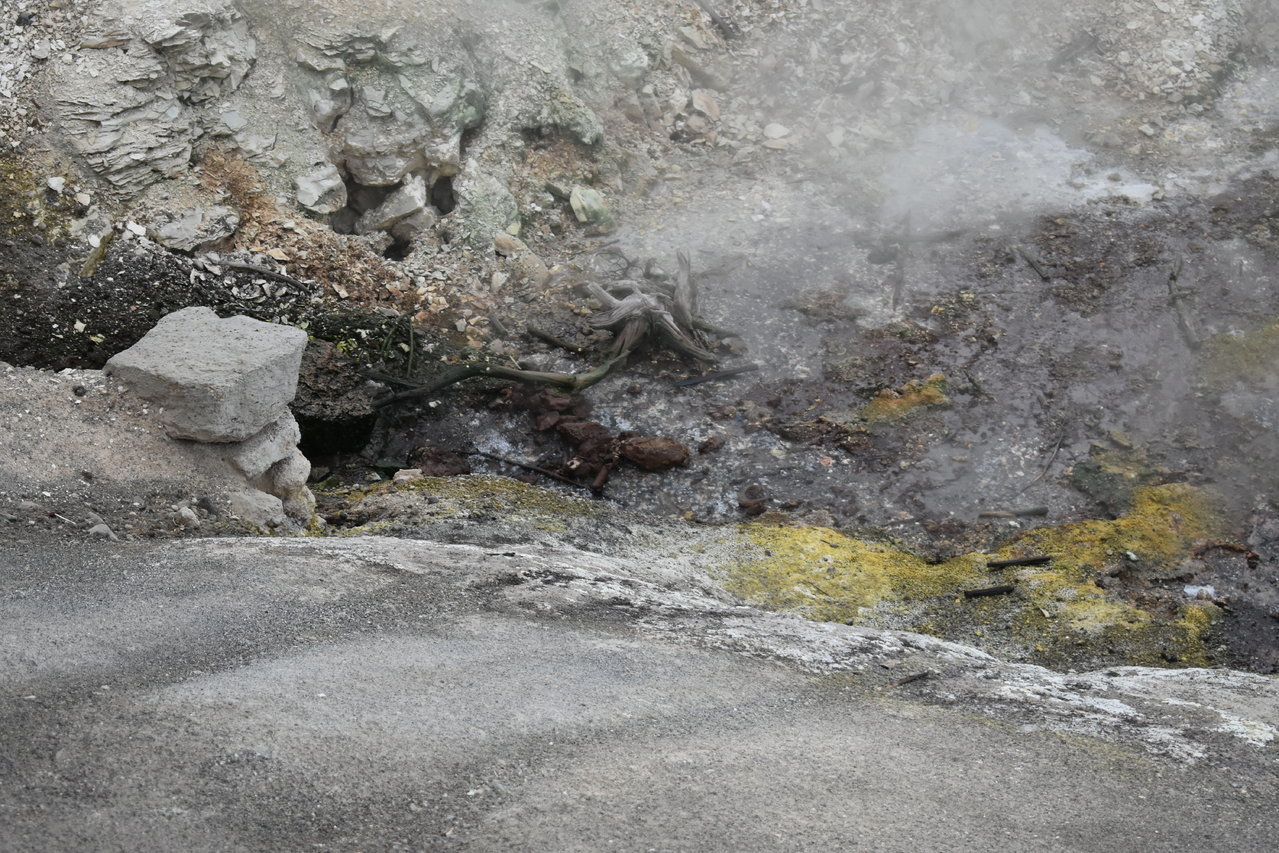 DSC_0088.jpg