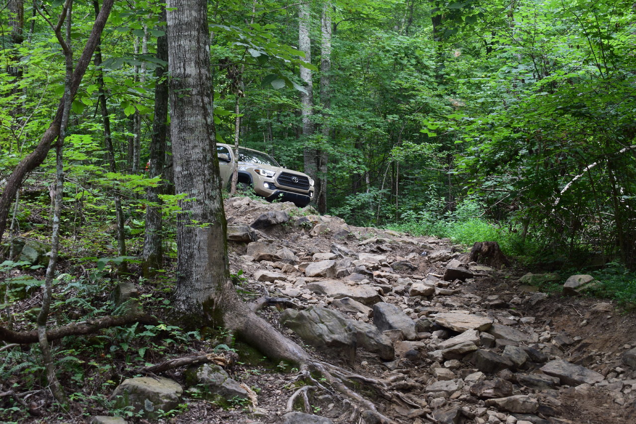 DSC_0088.jpg